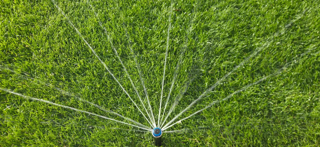 Detail Rasensprenger Wasserstrahl Draufsicht