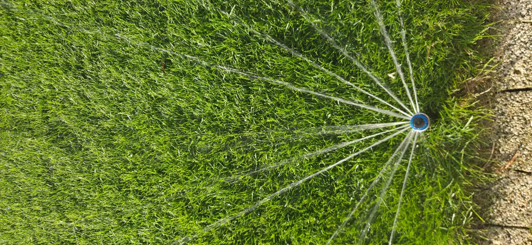 Detail Versenkregner Düse Draufsicht