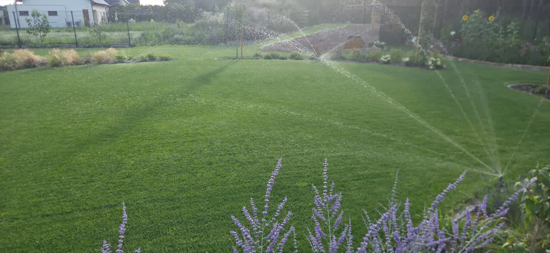 Realisierung Gartenanlage Mehrere Sprenger Abendlicht