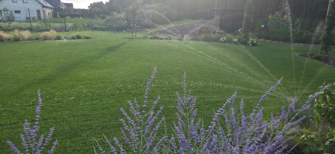 Realisierung Gartenanlage Sprenger Abendstimmung