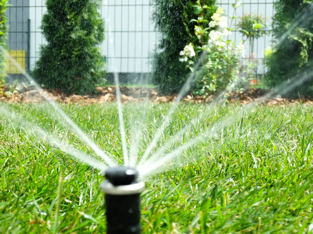 Wassersprüher Gartenanlage Nahaufnahme